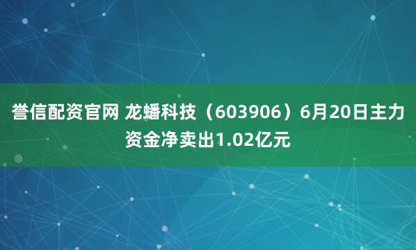 誉信配资官网 龙蟠科技（603906）6月20日主力资金净卖出1.02亿元
